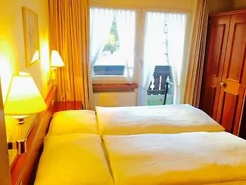 Antares زيرمات